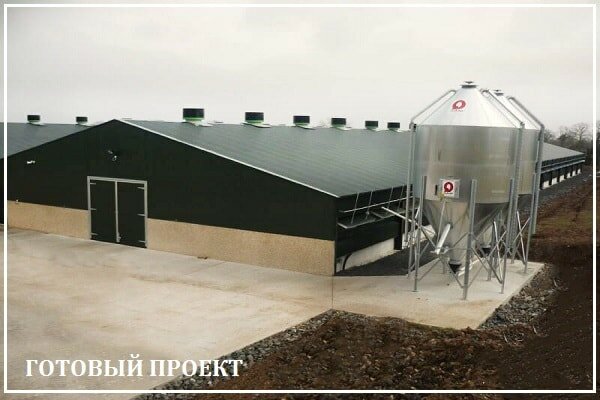 Этапы возведения птицефабрики от завода ВелесТент-нбс